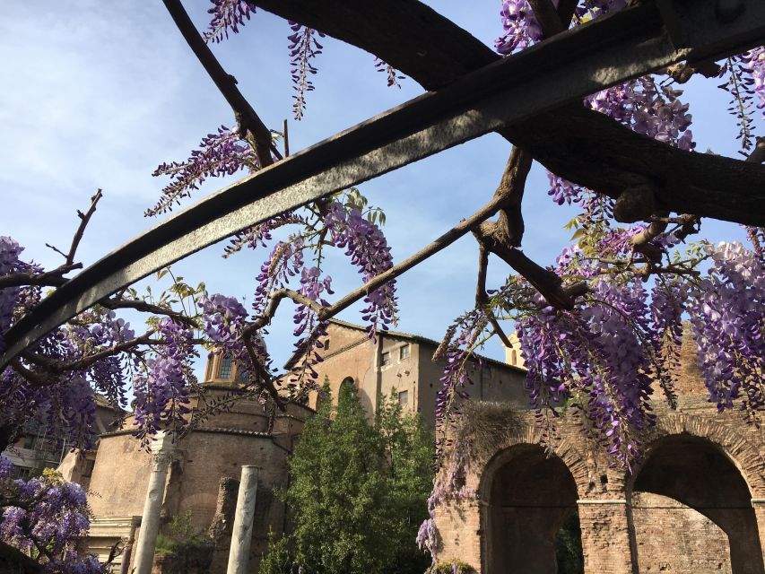 Colosseum, Roman Forum, Palatine Hill - the PRIVATE TOUR - Roman Forum: Rome’s Political and Commercial Center