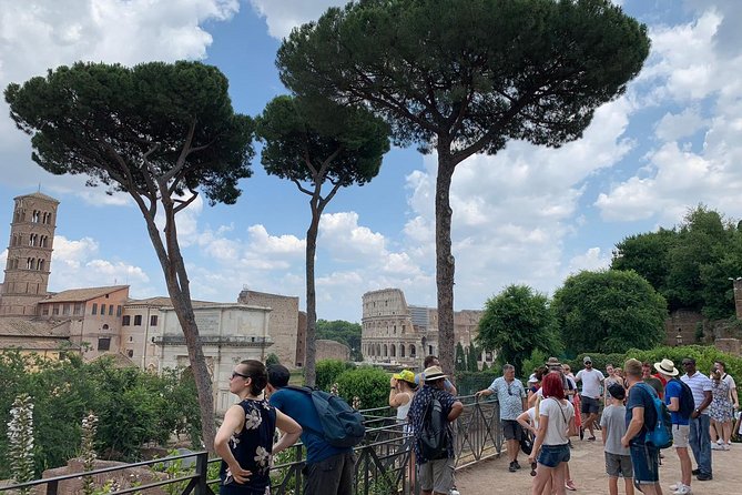 Colosseum Tour with Palatine Hill and Roman Forum - What to Expect on the Ground: Timing, Where You Start, Where You End