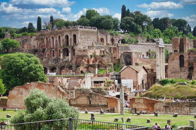 Colosseum Underground Tour and Access to Forum and Palatine Hill - The gladiator viewpoint: why that photo spot is more than a photo spot