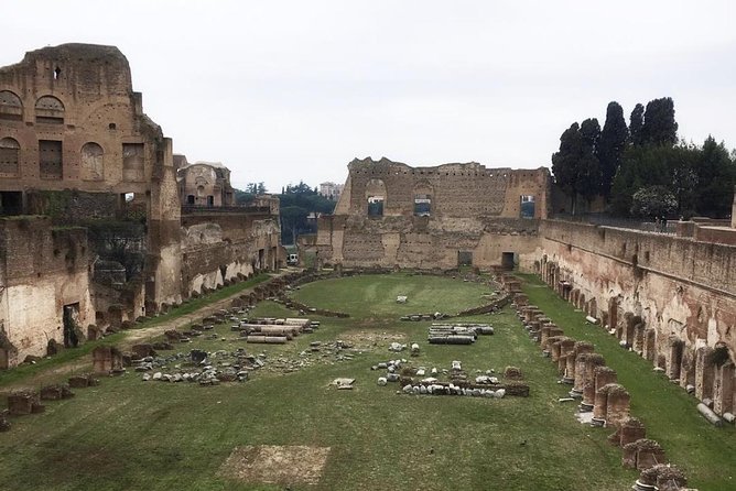 Colosseum with Arena Floor, Roman Forum and Palatine Hill - Private Tour - Palatine Hill’s Imperial Palace Ruins: Short Time, Focused Payoff