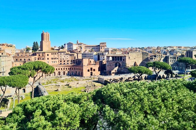 Colosseum with Arena Guided Tour - Who This Tour Fits Best