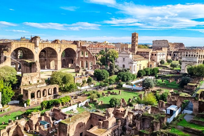 Colosseum with Arena, Roman Forum and Palatine Hill Guided Tour - Entering The Colosseum: Timed Entry, Security, and the ID Rule