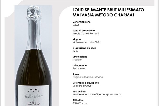 Course in Rome: Wine Education with Food - mini sommelier course - Pricing: is $96.02 worth it?