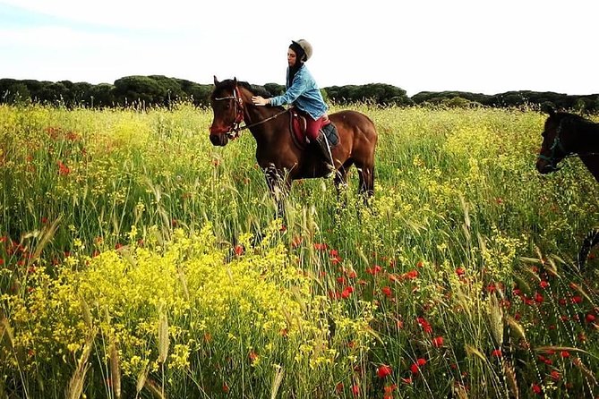 Daily out of Rome : Horseback ride with meals & wine included - Who this is perfect for (and who should pass)