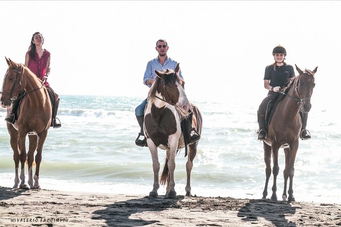 Daily out of Rome : Horseback ride with meals & wine included - Price and value: is $325.60 fair for what you get?