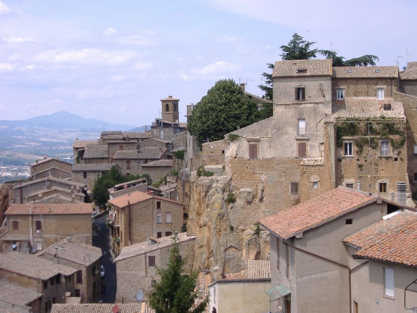 Day trip from Rome to Assisi and Orvieto - 10 hours - Who should book this Assisi and Orvieto day trip