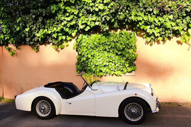Day-trip from Rome to Roman Hills with lunch / picnic included - Castelli Romani by Way of Gardens and Small Town Streets