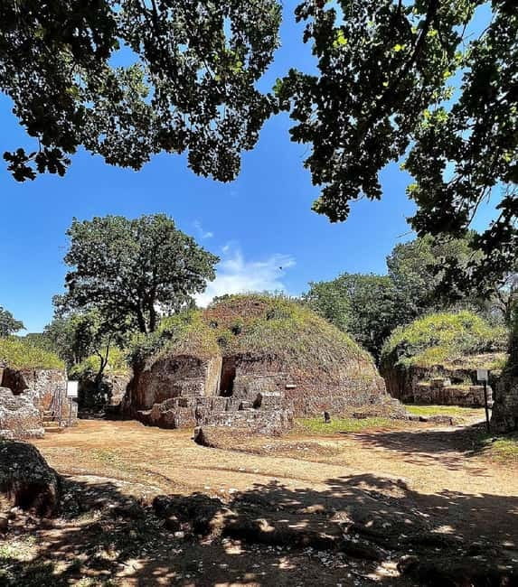 Day trip Rome: Tarquinia and Cerveteri, Etruscan tour - Stop 1: Cerveteri Necropolis of Banditaccia (About 2 Hours)