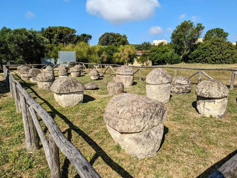 Day trip Rome: Tarquinia and Cerveteri, Etruscan tour - Optional Museums and Lunch in Tarquinia
