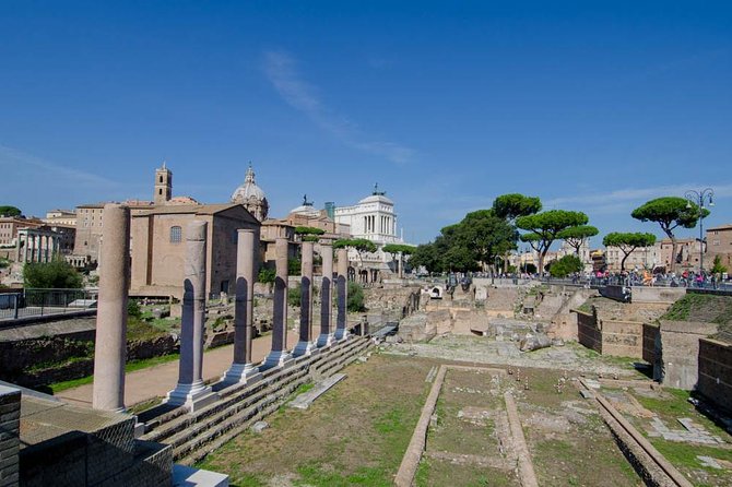 Discover Rome in a Day – Private Driver Tour - Quick takeaways