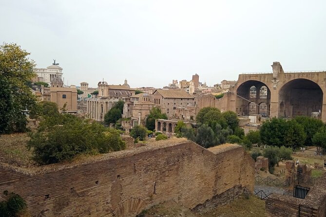 Domus Tiberiana and The Ruins of Ancient Rome Guided Tour - Domus Tiberiana: an imperial palace reopened in September 2023