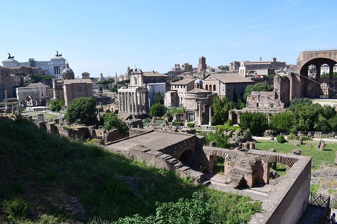 Domus Tiberiana and The Ruins of Ancient Rome Guided Tour - Group size: small enough for better flow, not a private tour