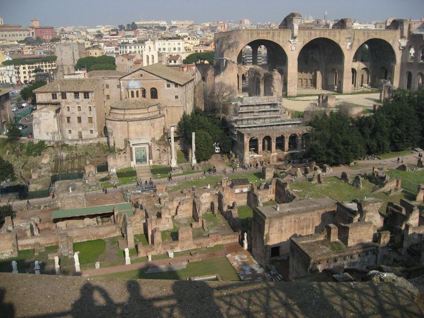 Domus Tiberiana, Palatine Hill and Roman Forum Guided Tour - Key highlights worth planning for