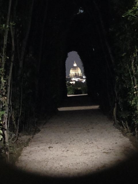 Elegant Rome by night tour and dinner in a local restaurant - Janiculum Hill and Giardino degli Aranci: Rome’s Best Photo Pause