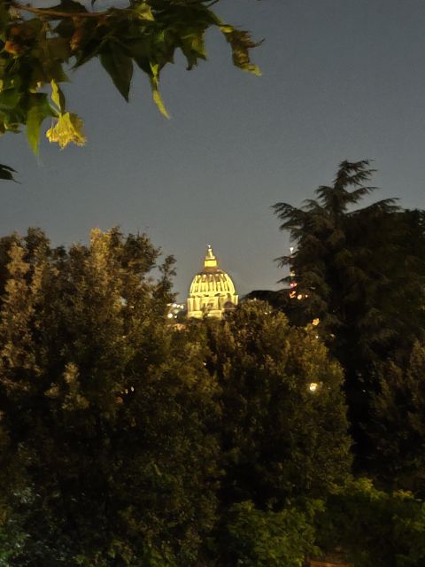 Elegant Rome by night tour and dinner in a local restaurant - Piazza Navona to Trevi Fountain: Classic Rome With Guided Timing