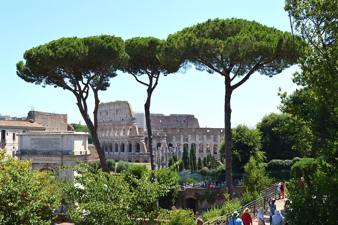 Esclusive Colosseum Tour with Roman Forum & Palatine Hill Access - Meeting point, ID rules, and how to avoid the common headaches