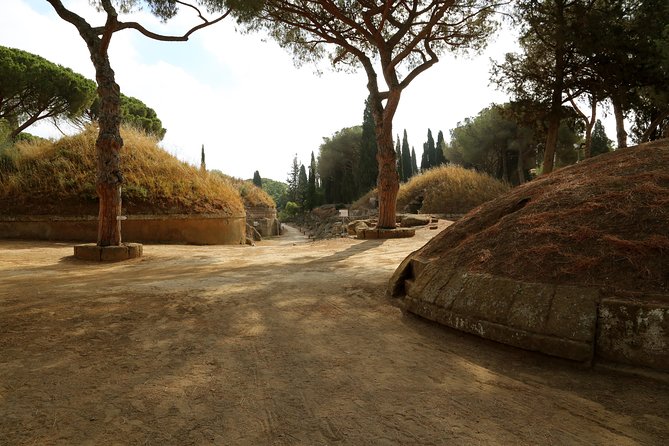 Etruscan Tarquinia and Cerveteri from Rome - Etruscan Tombs Within Reach of Rome