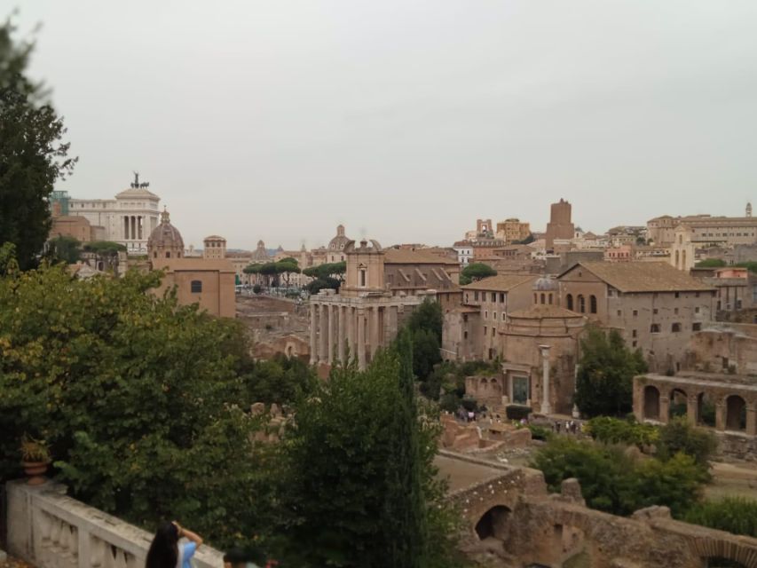 Exclusive tour of Ancient Rome and Domus Tiberiana - Who should book this tour, and who might prefer something else