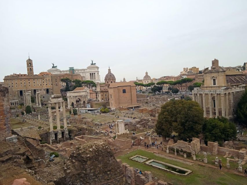 Exclusive tour of Ancient Rome and Domus Tiberiana - Palatine Hill and the Roman Forum: why this is Rome’s real “center”