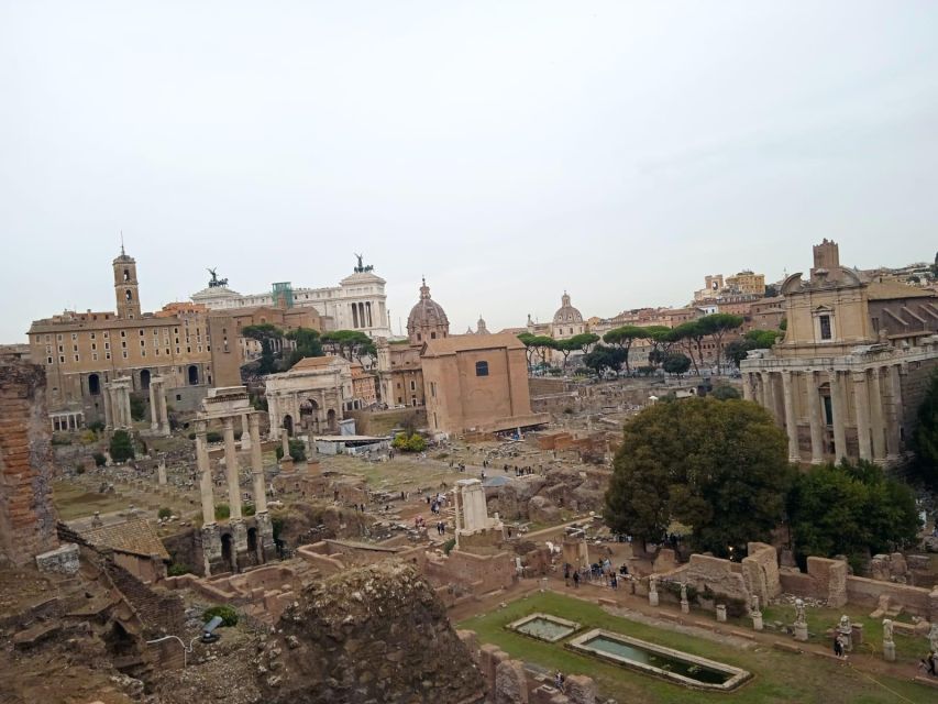 Exclusive tour of Ancient Rome and Domus Tiberiana - Domus Tiberiana: the rare restored imperial residence you don’t get elsewhere