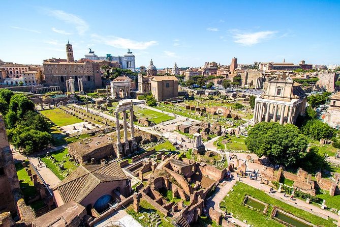 Family Adventure: Private Kids Tour of Colosseum & Ancient Rome - Palatine Hill: views plus the story of rulers