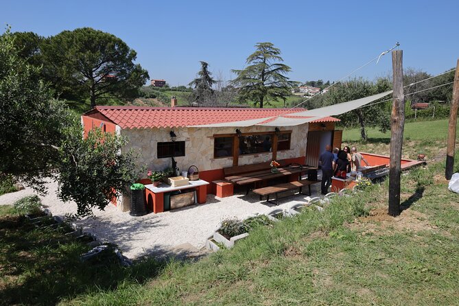 Focaccia and Pesto Cooking Class in the Roman Countryside - Small group size means better attention (and easier questions)