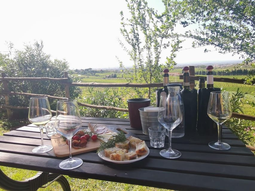 Frascati: 3-Hour Wine and Oil Tasting with Lunch/Dinner - Key highlights you should know before you go