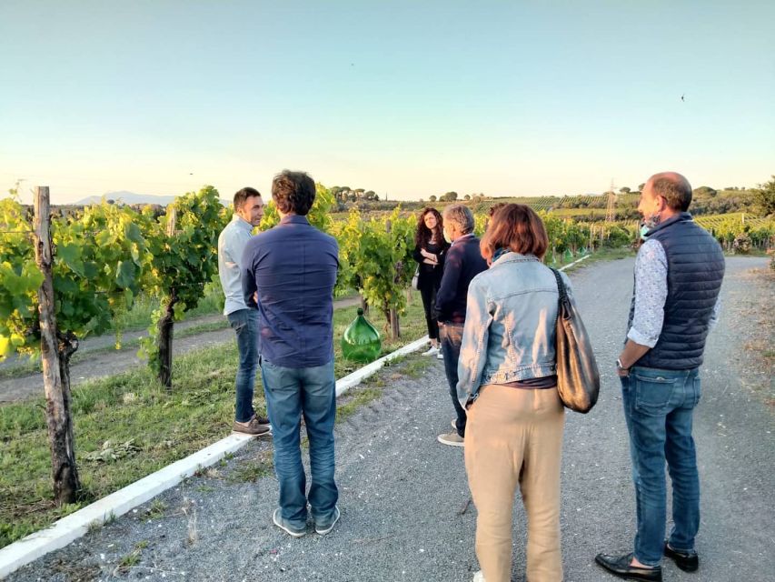 Frascati: 3-Hour Wine and Oil Tasting with Lunch/Dinner - Winery visit and cellar tour: what you’re really paying for