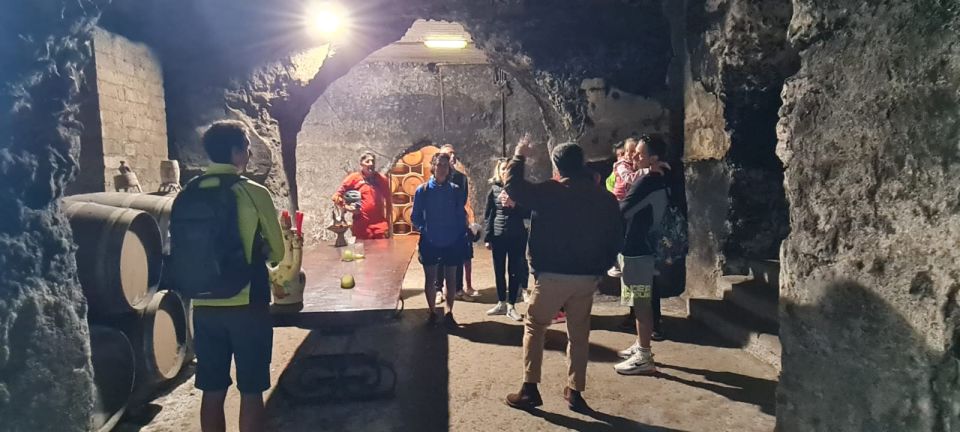 Frascati: Tour in E-Bike with Wine Tasting - Price and Value: Is $94 per Person Fair?