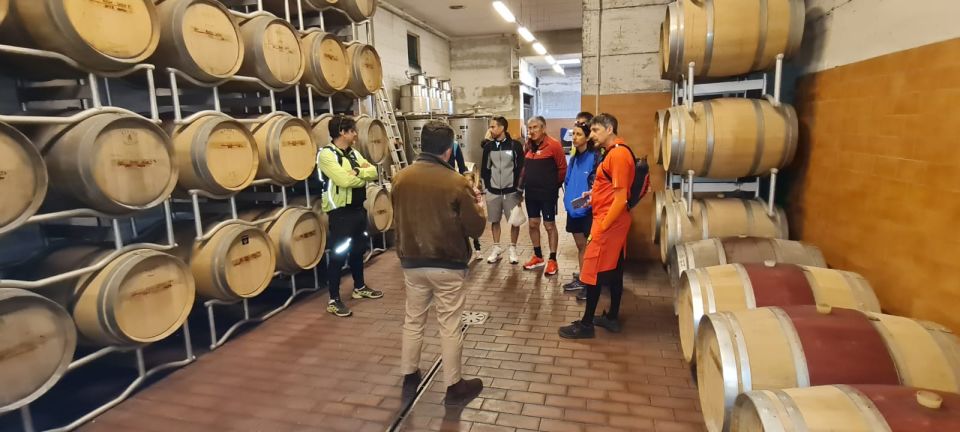 Frascati: Tour in E-Bike with Wine Tasting - Who This Tour Suits Best (and Who Might Feel It’s the Wrong Fit)