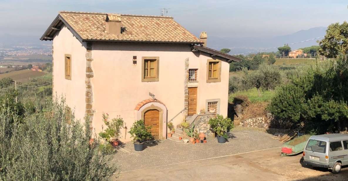 Frascati Wine Road from Rome: Tasting & Lunch - Getting to Frascati: Termini at 9:49 and a Clear Meeting Spot