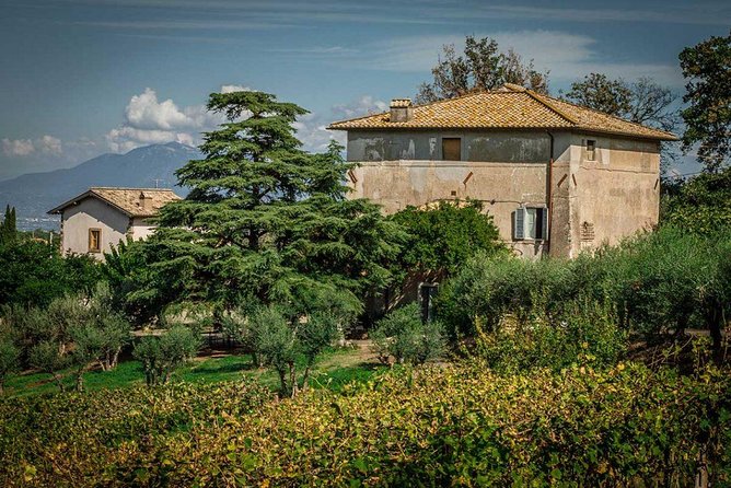 Frascati Wine Tasting Tour: The Flavors of the Roman Countryside - Frascati without the car: why this day works from Rome