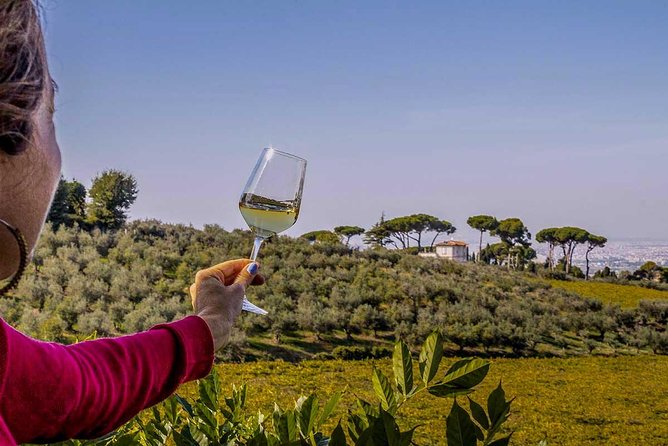 Frascati Wine Tasting Tour: The Flavors of the Roman Countryside - Stop 2: Frascati Centro storico with a local guide
