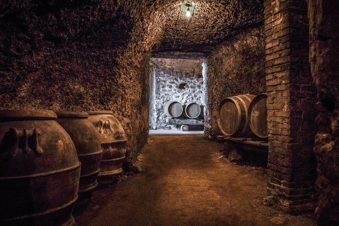 Frascati Wine Tasting Tour: The Flavors of the Roman Countryside - Wine lovers will like the range more than the quantity