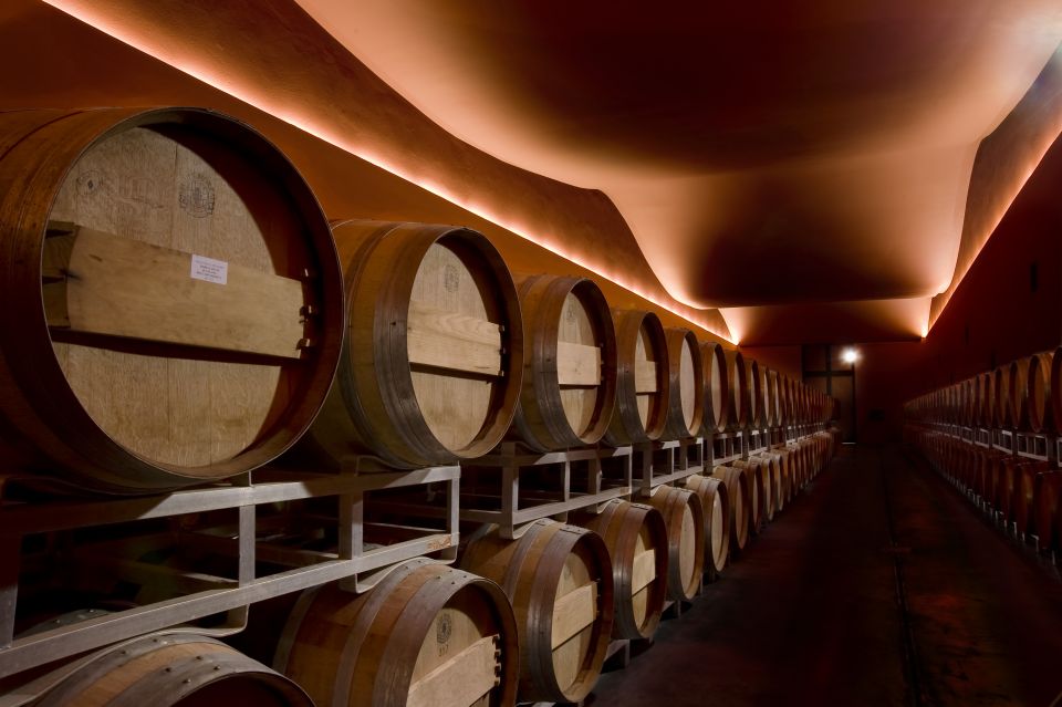 From Civitavecchia: Tuscany-Latium Wine Tour with Tastings - What the day feels like for different travelers
