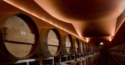 From Civitavecchia: Tuscany-Latium Wine Tour with Tastings - The two-cellar plan: why it works better than a quick stop