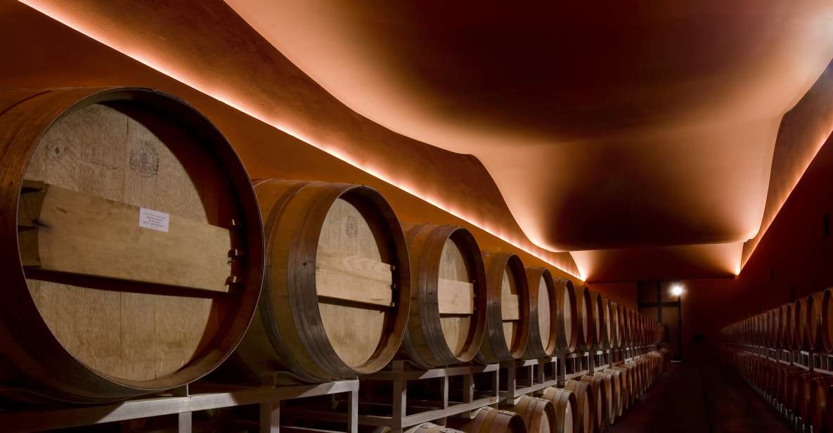From Civitavecchia: Tuscany-Latium Wine Tour with Tastings - The two-cellar plan: why it works better than a quick stop