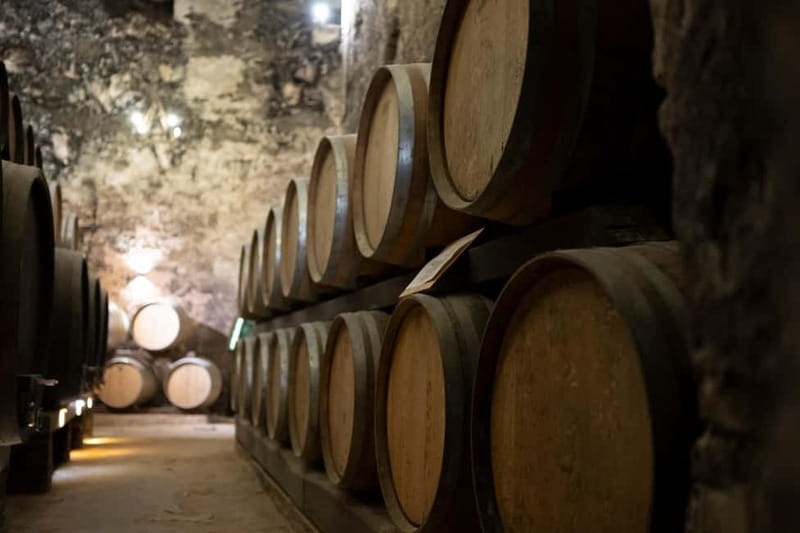 From Roma: Montepulciano and Montalcino, on the Wine Routes - Lunch in a historic cellar: pici al ragù and Tuscan comfort food