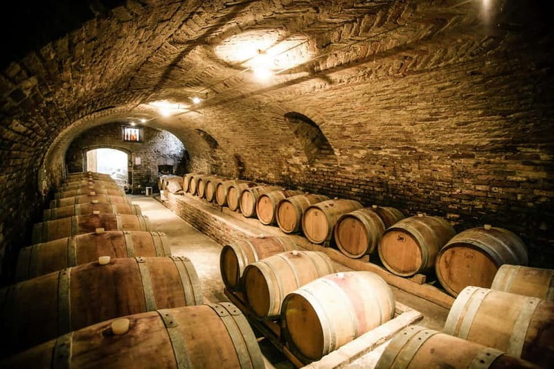 From Roma: Montepulciano and Montalcino, on the Wine Routes - The panoramic photo moments: why the tour timing works