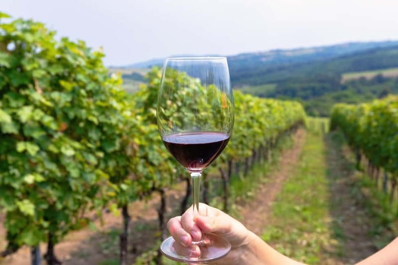 From Roma: Montepulciano and Montalcino, on the Wine Routes - Montepulciano’s historic center: lanes, squares, and easy wandering time