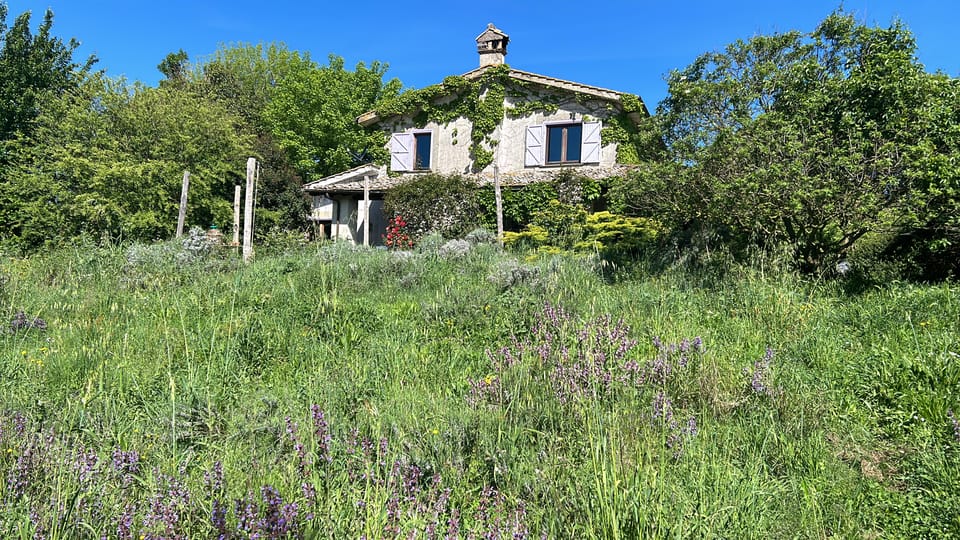 From Rome: Bracciano Lake & Calcata Day Trip, Wines & Lunch - Lake Bracciano and Orsini Castle: The Views Worth the Car Ride