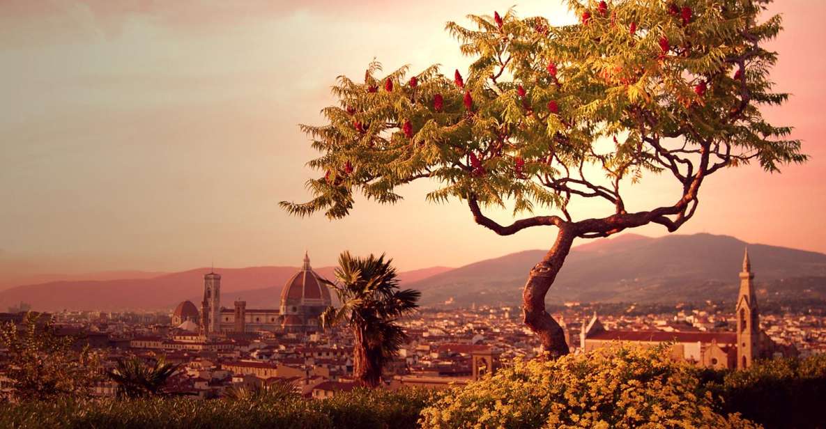 From Rome: Day Trip to Florence by High-Speed Train - The train ride: the part that saves you real energy