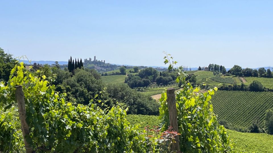 From Rome: Florence & Tuscany Day Tour by High-Speed Train - Price and value: is $231.20 a good deal?