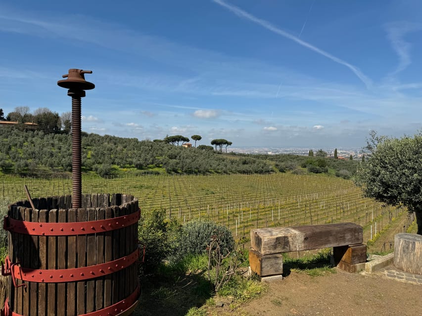 From Rome: Frascati Wine Tour with Lunch and Vineyard tour - Getting There: Roma Termini to Frascati (and Tor Vergata on Saturdays)