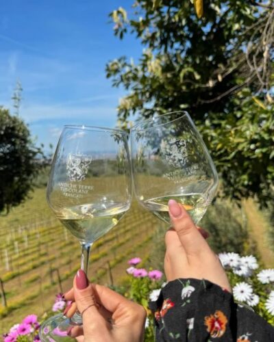 From Rome: Frascati Wine Tour with Lunch and Vineyard tour - The Winery Visit: Vineyard Walk, 16th-Century Farmhouse, and Roman-Era Cellars