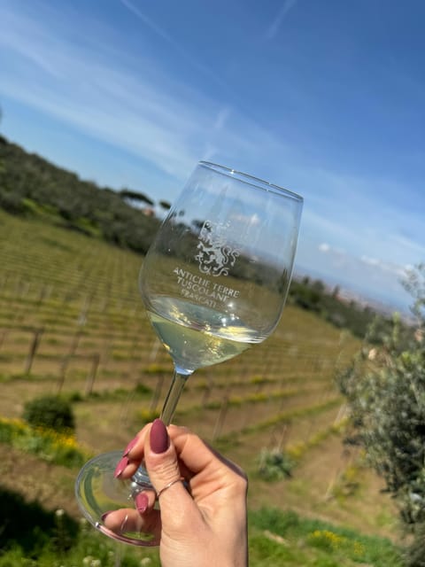 From Rome: Frascati Wine Tour with Lunch and Vineyard tour - Frascati Town Walk: A Local Guide and the Streets Between the Stops