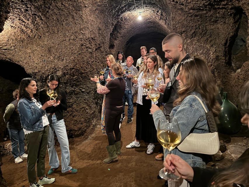 From Rome: Frascati Wine Tour with Lunch and Vineyard tour - Value and Timing: Is $123.48 a Good Deal?