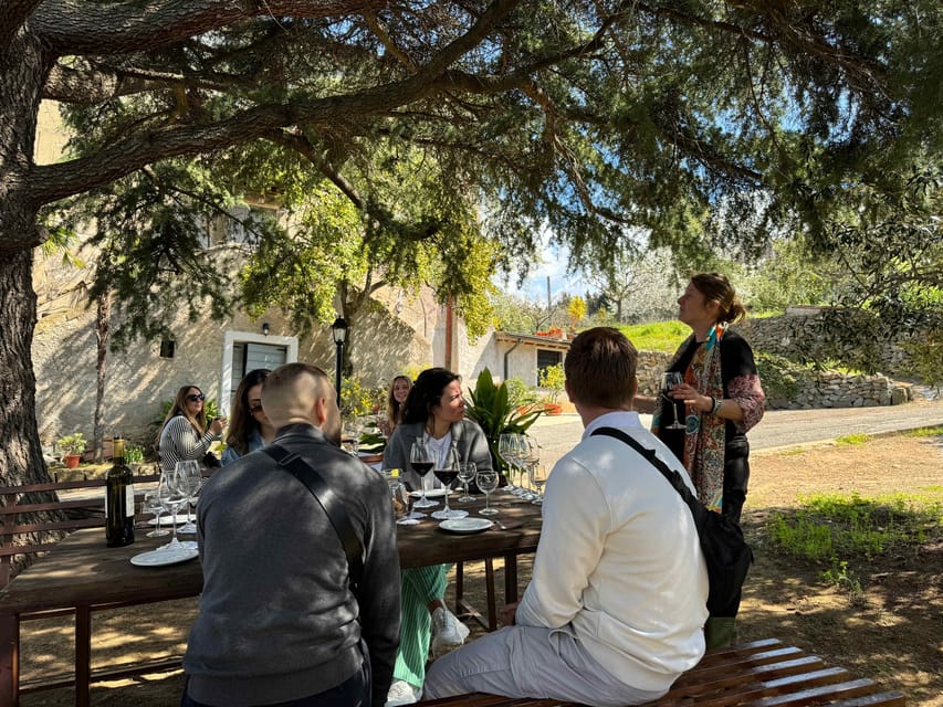 From Rome: Frascati Wine Tour with Lunch and Vineyard tour - Who This Tour Suits (and Who Might Want Something Different)