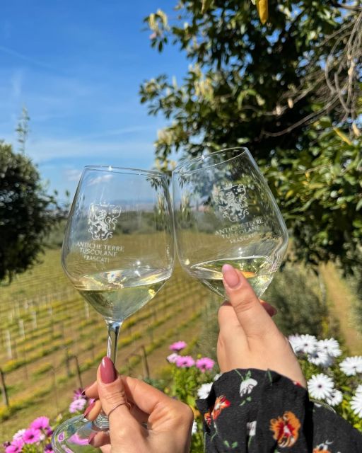 From Rome: Frascati Wine Tour with Lunch and Vineyard tour - The Winery Visit: Vineyard Walk, 16th-Century Farmhouse, and Roman-Era Cellars