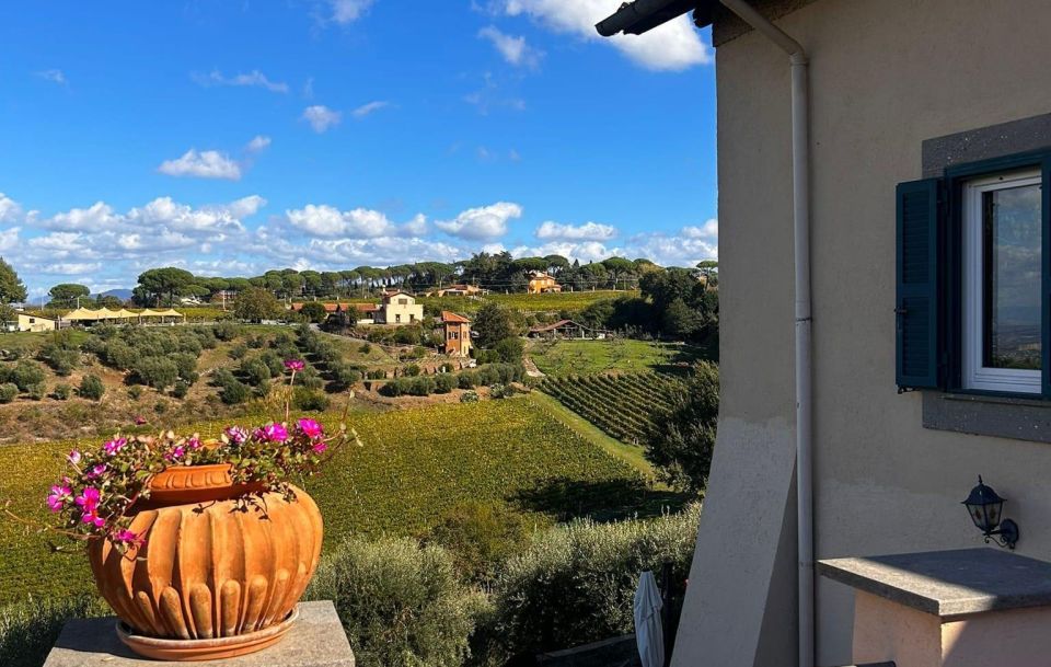 From Rome: Half-Day Frascati Wine Tour with Farmhouse Lunch - The guided tasting: 3 boutique wines plus EVO oil